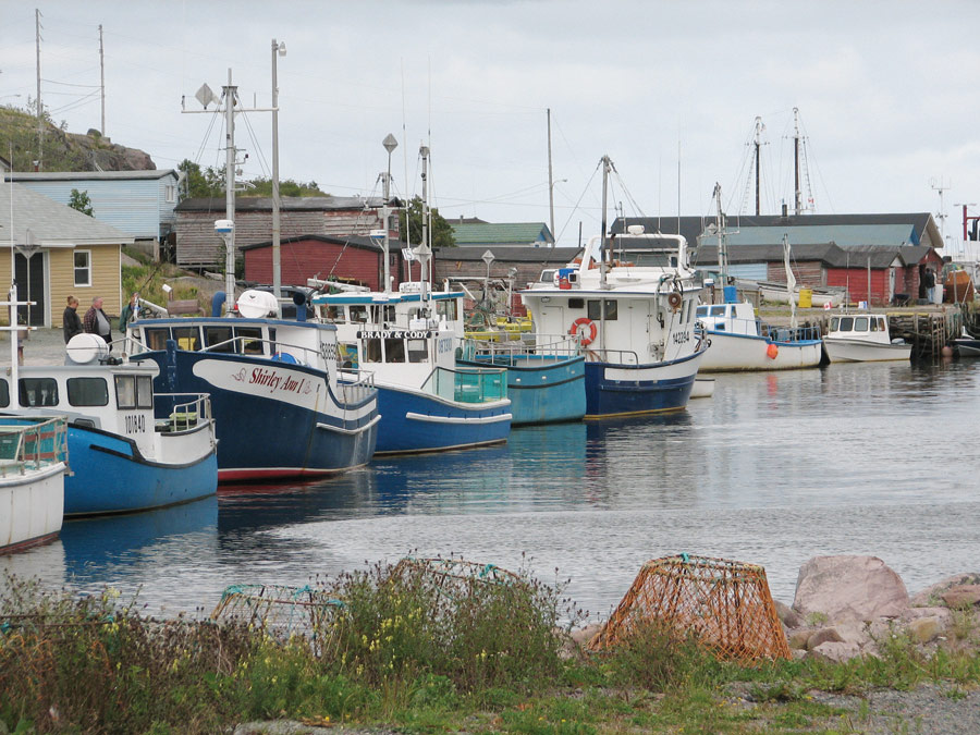 Newfoundland Boats