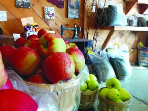 Apple Harvest & Craft Show, Meaford 