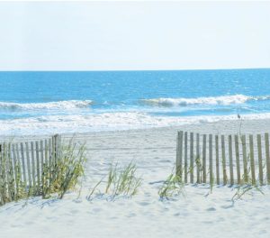 Myrtle Beach, South Carolina Oceanfront Holiday Join us as we return to a favourite destination and escape Winter